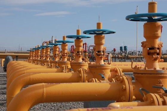 Bom preço. Pinturas anticorrosivas Emulsão à base de água de um componente para superfícies metálicas on-line